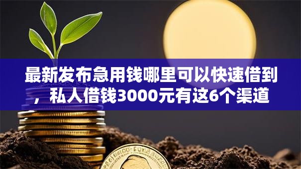 最新发布急用钱哪里可以快速借到,私人借钱3000元有这6个渠道 最新发布急用钱哪里可以快速借到,私人借钱3000元有这6个渠道