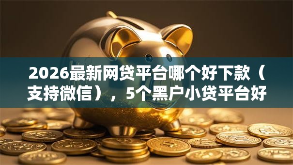 2026最新网贷平台哪个好下款（支持微信），5个黑户小贷平台好借款无私分享