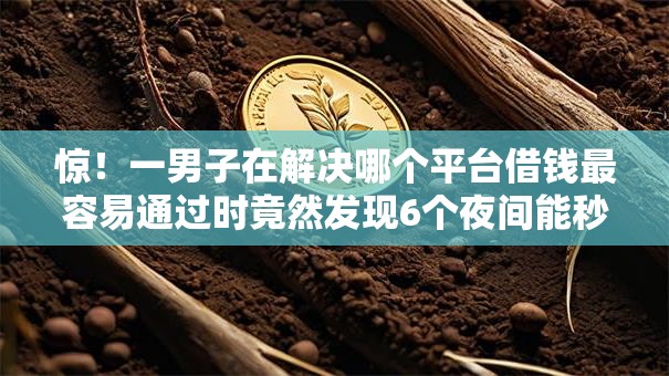 惊！一男子在解决哪个平台借钱最容易通过时竟然发现6个夜间能秒下款的高炮口子，事后分享了出来