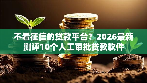 不看征信的贷款平台？2026最新测评10个人工审批贷款软件