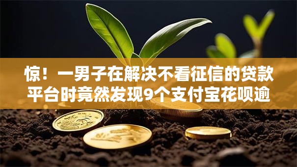 惊！一男子在解决不看征信的贷款平台时竟然发现9个支付宝花呗逾期万元快速贷款平台，事后分享了出来
