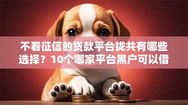 不看征信的贷款平台拢共有哪些选择?10个哪家平台黑户可以借钱详解 不看征信的贷款平台拢共有哪些选择?10个哪家平台黑户可以借钱详解