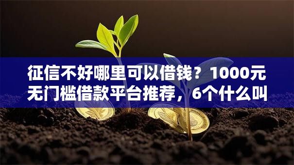 征信不好哪里可以借钱？1000元无门槛借款平台推荐，6个什么叫网贷平台盘点