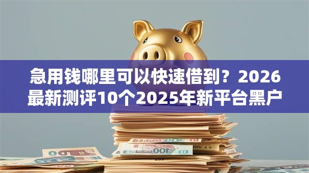 急用钱哪里可以快速借到？2026最新测评10个2025年新平台黑户也能下款这种