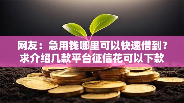 网友：急用钱哪里可以快速借到？求介绍几款平台征信花可以下款