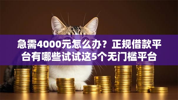 急需4000元怎么办？正规借款平台有哪些试试这5个无门槛平台