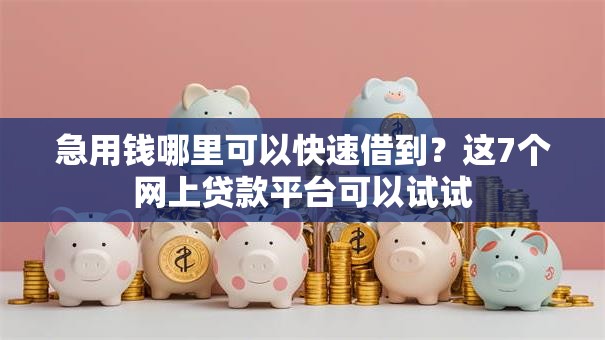 急用钱哪里可以快速借到？这7个网上贷款平台可以试试