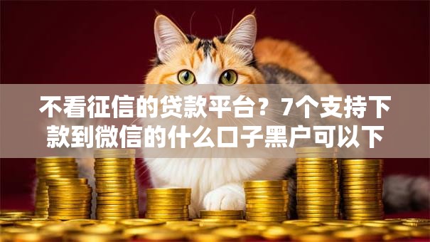 不看征信的贷款平台？7个支持下款到微信的什么口子黑户可以下款