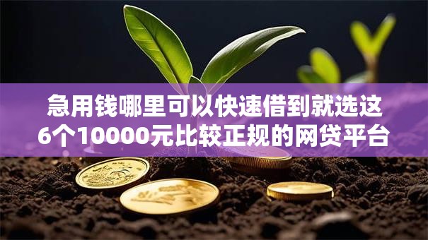 急用钱哪里可以快速借到就选这6个10000元比较正规的网贷平台