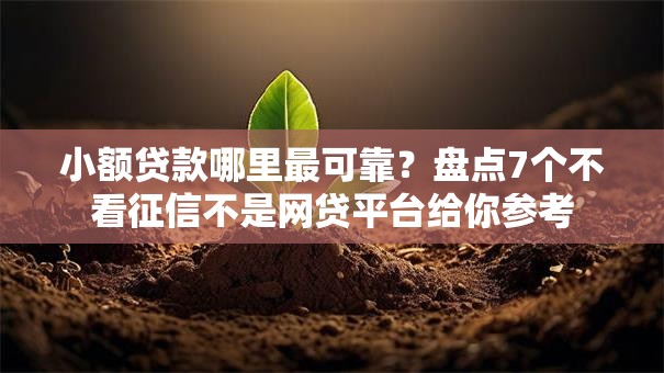 小额贷款哪里最可靠？盘点7个不看征信不是网贷平台给你参考