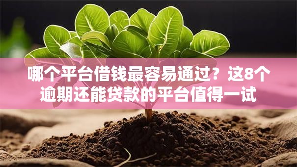 哪个平台借钱最容易通过?这8个逾期还能贷款的平台值得一试 哪个平台借钱最容易通过?这8个逾期还能贷款的平台值得一试