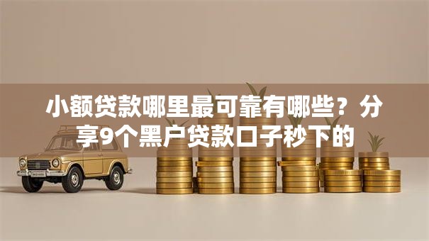 小额贷款哪里最可靠有哪些？分享9个黑户贷款口子秒下的