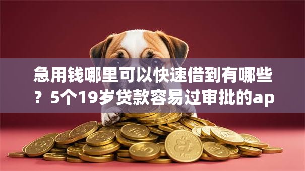 急用钱哪里可以快速借到有哪些？5个19岁贷款容易过审批的app推荐给你