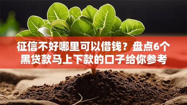 征信不好哪里可以借钱？盘点6个黑贷款马上下款的口子给你参考