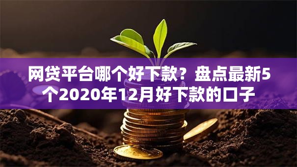 网贷平台哪个好下款？盘点最新5个2020年12月好下款的口子
