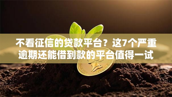 不看征信的贷款平台？这7个严重逾期还能借到款的平台值得一试