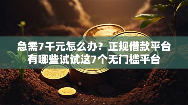 急需7千元怎么办？正规借款平台有哪些试试这7个无门槛平台