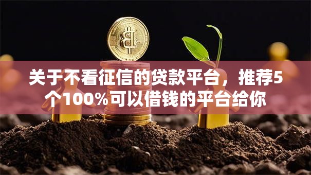 关于不看征信的贷款平台，推荐5个100%可以借钱的平台给你
