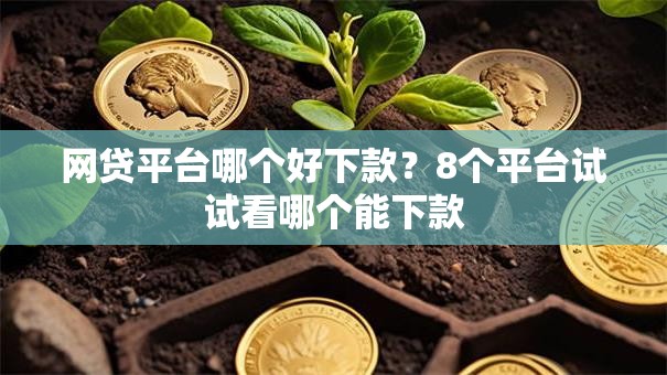 网贷平台哪个好下款？8个平台试试看哪个能下款