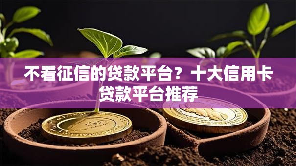 不看征信的贷款平台?十大信用卡贷款平台推荐 不看征信的贷款平台?十大信用卡贷款平台推荐