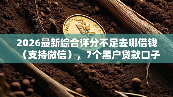 2026最新综合评分不足去哪借钱（支持微信），7个黑户贷款口子无私分享