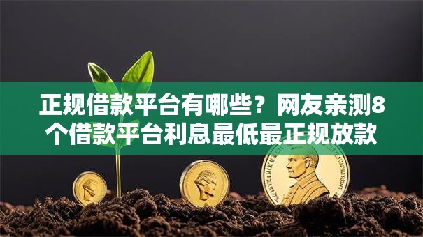 正规借款平台有哪些？网友亲测8个借款平台利息最低最正规放款最快盘点