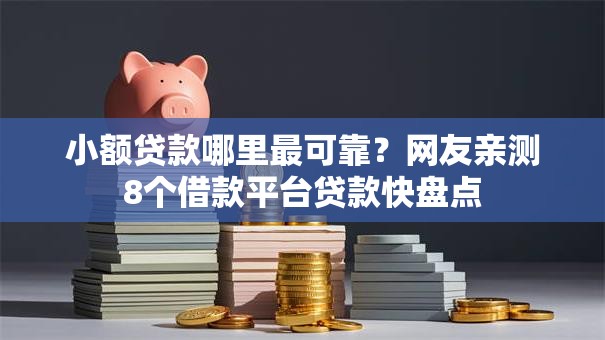 小额贷款哪里最可靠？网友亲测8个借款平台贷款快盘点