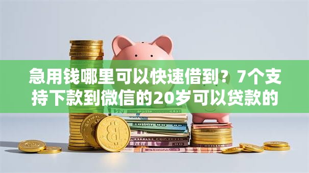 急用钱哪里可以快速借到？7个支持下款到微信的20岁可以贷款的平台