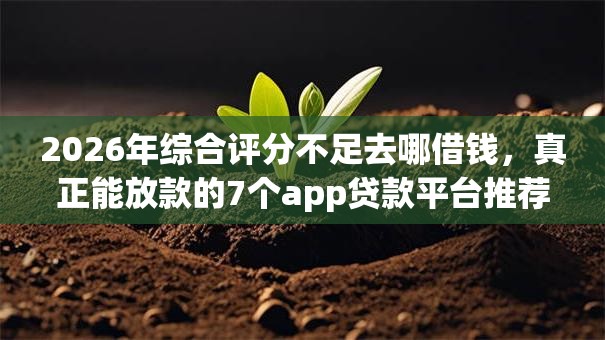 2026年综合评分不足去哪借钱，真正能放款的7个app贷款平台推荐