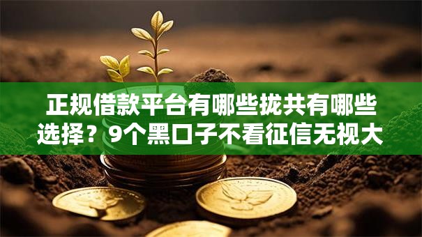 正规借款平台有哪些拢共有哪些选择？9个黑口子不看征信无视大数据详解