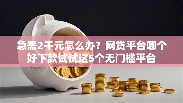 急需2千元怎么办？网贷平台哪个好下款试试这5个无门槛平台