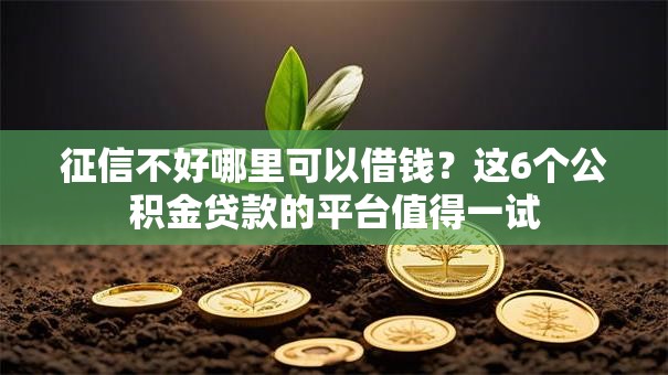 征信不好哪里可以借钱？这6个公积金贷款的平台值得一试