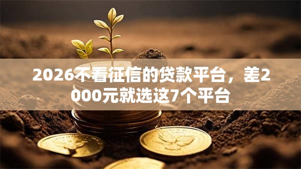 2026不看征信的贷款平台，差2000元就选这7个平台