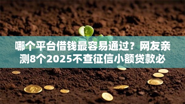 哪个平台借钱最容易通过？网友亲测8个2025不查征信小额贷款必下口子盘点
