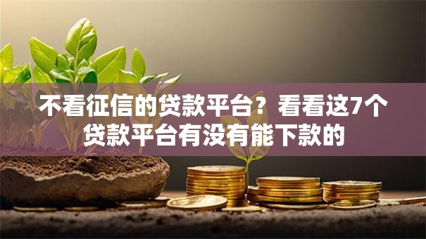 不看征信的贷款平台？看看这7个贷款平台有没有能下款的