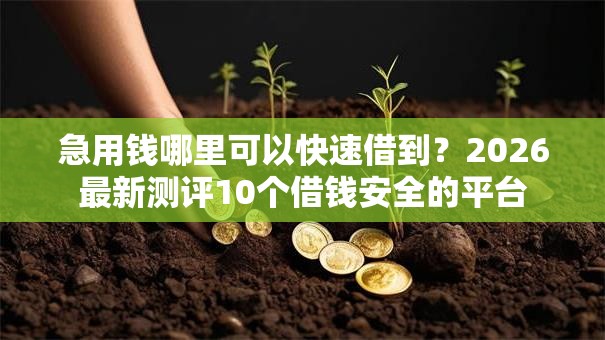 急用钱哪里可以快速借到？2026最新测评10个借钱安全的平台