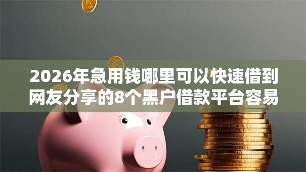 2026年急用钱哪里可以快速借到网友分享的8个黑户借款平台容易通过审核我觉得不错！