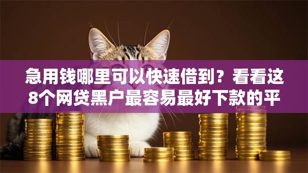 急用钱哪里可以快速借到？看看这8个网贷黑户最容易最好下款的平台怎么样