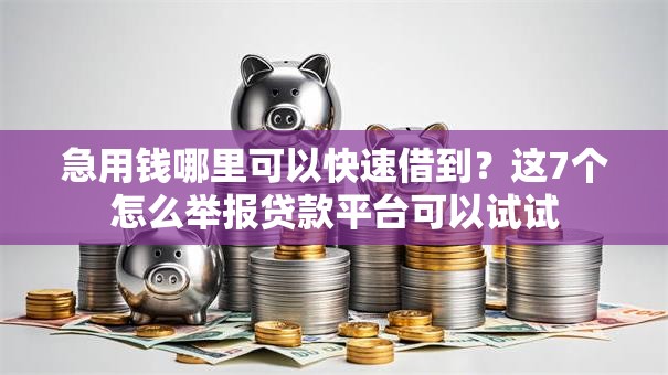 急用钱哪里可以快速借到？这7个怎么举报贷款平台可以试试