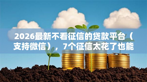 2026最新不看征信的贷款平台(支持微信),7个征信太花了也能借钱的平台无私分享 2026最新不看征信的贷款平台(支持微信),7个征信太花了也能借钱的平台无私分享