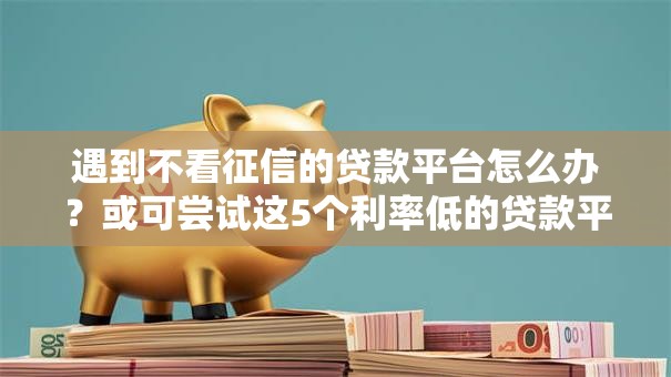 遇到不看征信的贷款平台怎么办？或可尝试这5个利率低的贷款平台