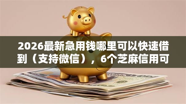 2026最新急用钱哪里可以快速借到（支持微信），6个芝麻信用可以借钱的软件无私分享