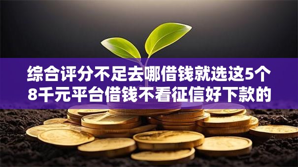 综合评分不足去哪借钱就选这5个8千元平台借钱不看征信好下款的 综合评分不足去哪借钱就选这5个8千元平台借钱不看征信好下款的