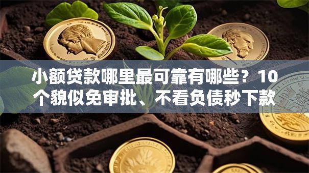 小额贷款哪里最可靠有哪些?10个貌似免审批、不看负债秒下款的网贷软件合集 小额贷款哪里最可靠有哪些?10个貌似免审批、不看负债秒下款的网贷软件合集