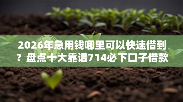 2026年急用钱哪里可以快速借到？盘点十大靠谱714必下口子借款平台