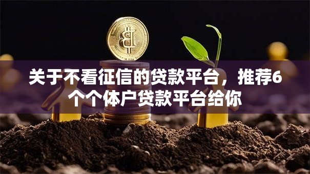关于不看征信的贷款平台，推荐6个个体户贷款平台给你