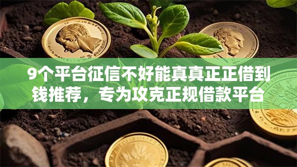 9个平台征信不好能真真正正借到钱推荐，专为攻克正规借款平台有哪些难题