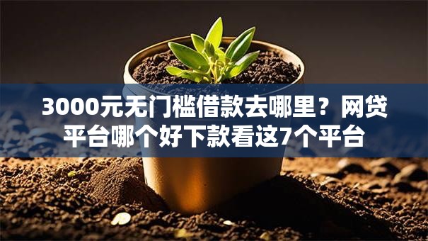 3000元无门槛借款去哪里？网贷平台哪个好下款看这7个平台