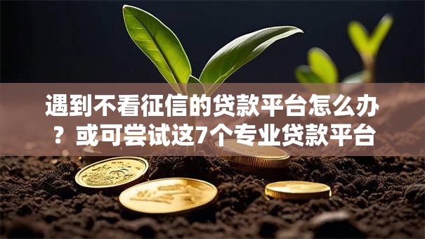 遇到不看征信的贷款平台怎么办？或可尝试这7个专业贷款平台