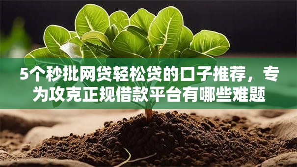 5个秒批网贷轻松贷的口子推荐，专为攻克正规借款平台有哪些难题
